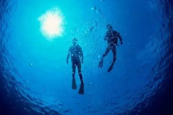 南京新百股东银丰生物质押股份3550万股 占总股本2.64%